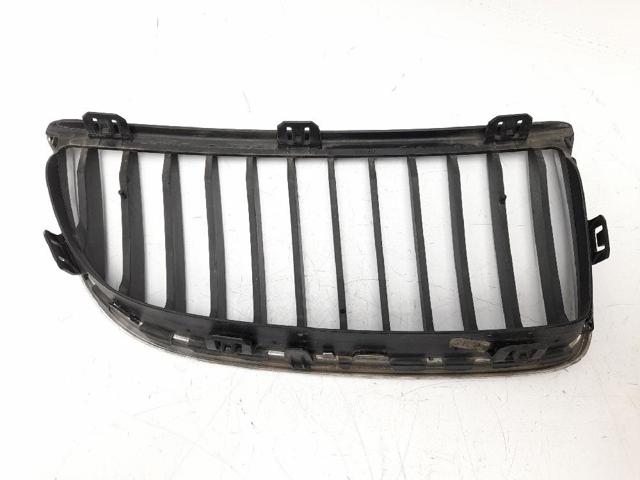 BMW 51137120007 Rejilla izquierda  en stock Valencia