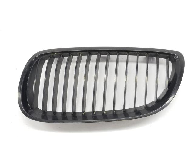 Panal de radiador izquierda 51137157277 BMW