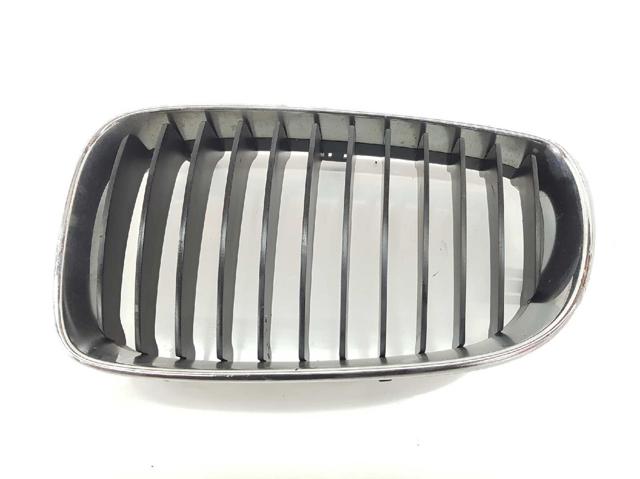 Panal de radiador izquierda 51137166439 BMW