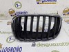 Panal de radiador izquierda 51137171395 BMW