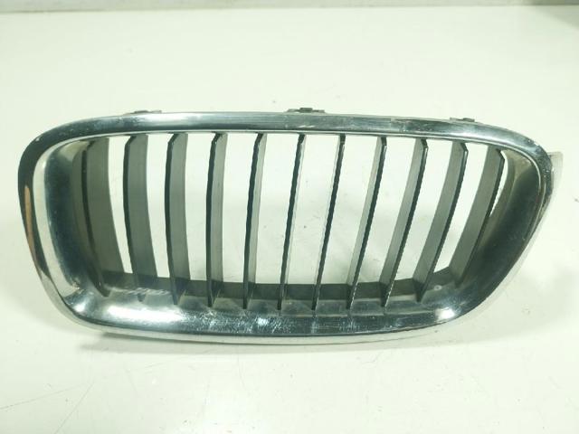BMW 51137255411 Parrilla izquierda del radiador  comprar en Albacete