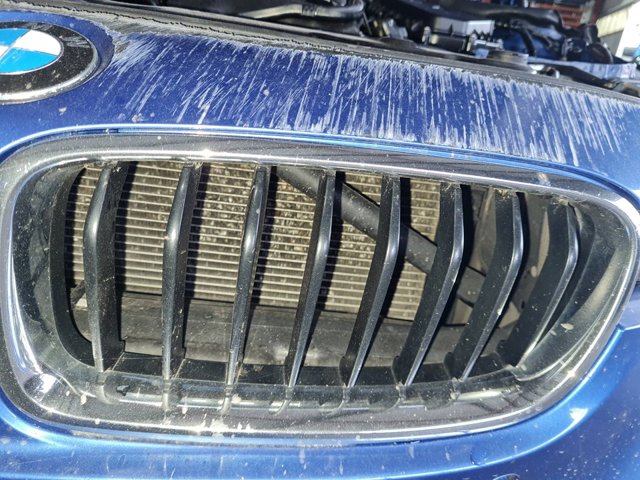 BMW 51137255411 Parrilla izquierda del radiador  disponible Lugo