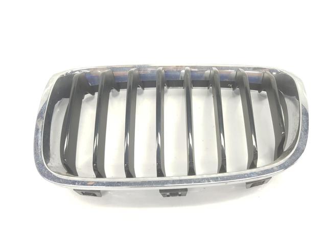 Panal de radiador izquierda 51137262117 BMW