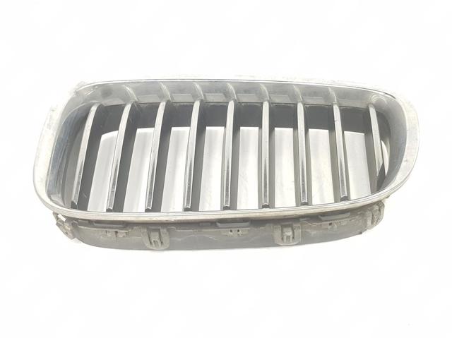 Panal de radiador 51137336485 BMW