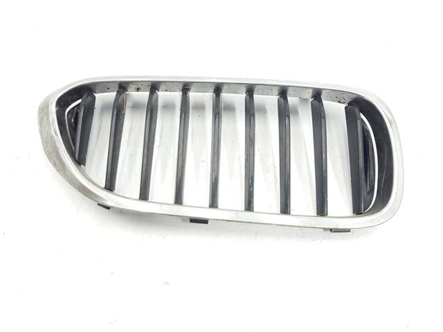 Panal de radiador izquierda 51137390863 BMW