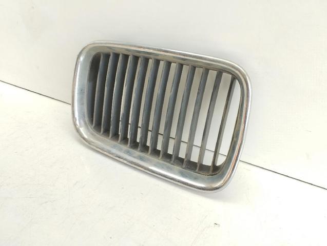 BMW 51138122238 Rejilla derecha del radiador  comprar en Murcia