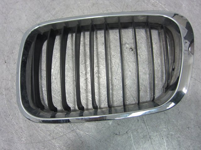 Panal de radiador izquierda 51138195151 BMW