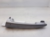 Tirador de puerta exterior delantero izquierda 51217207561 BMW