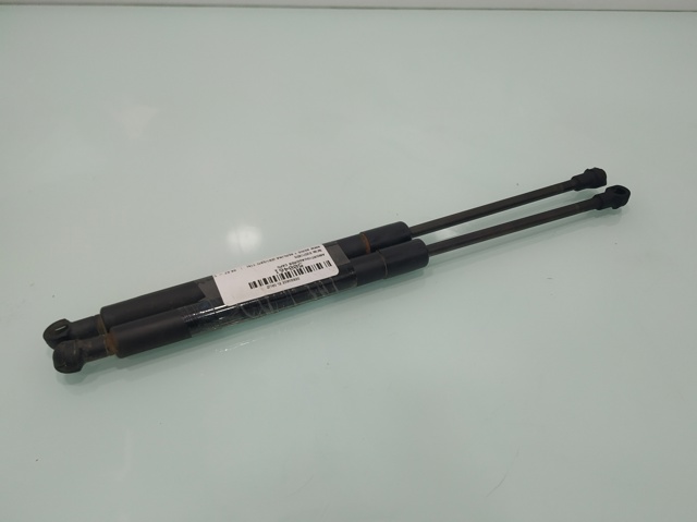 Muelle neumático, tapa delantera BMW 1  desde 14,11 €