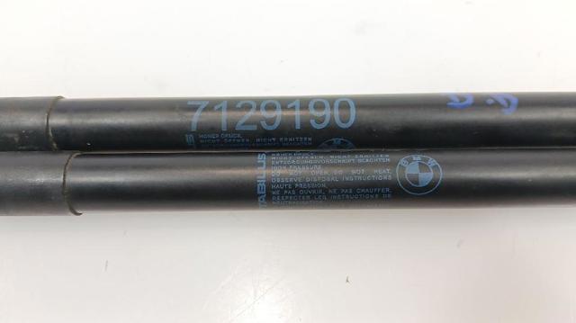 51237129190 Amortiguador de capó  disponible Utrera