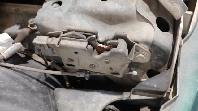 51237132756 BMW