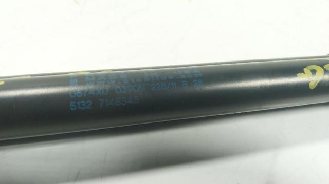 51237148346 BMW Amortiguador de capó  en stock Córdoba