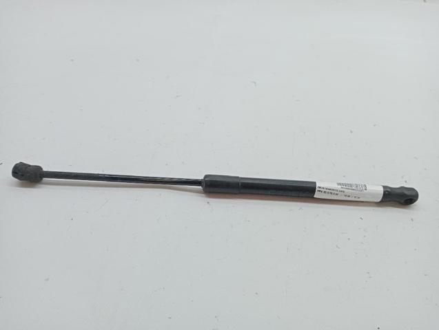 51237148346 Amortiguador de capó  disponible Burgos