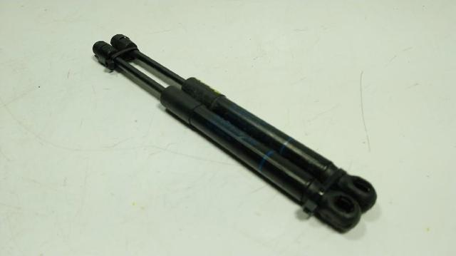 Comprar Amortiguador de capó BMW X5  G05, F95 a bajo precio
