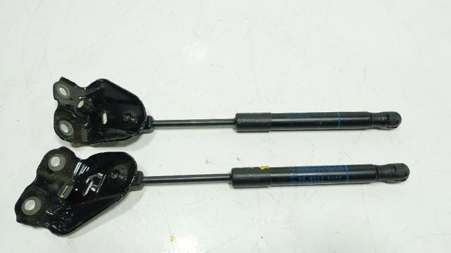 Comprar Amortiguador de capó BMW X5  G05, F95 a bajo precio