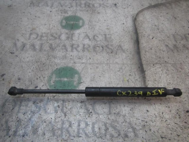 51238202688 Amortiguador de capó  disponible Burgos