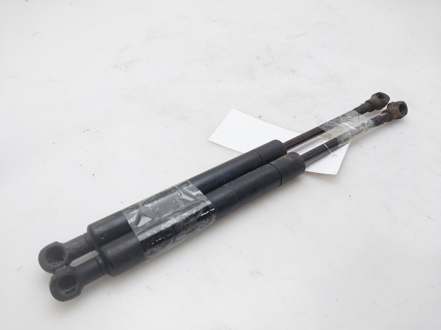 51238202688 BMW