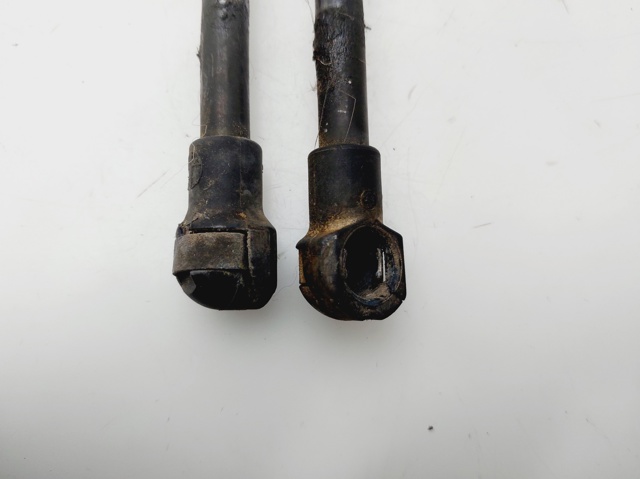 51238202688 BMW Amortiguador de capó  comprar en Oviedo