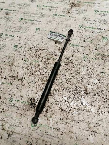 51238202688 Amortiguador de capó  disponible Burgos