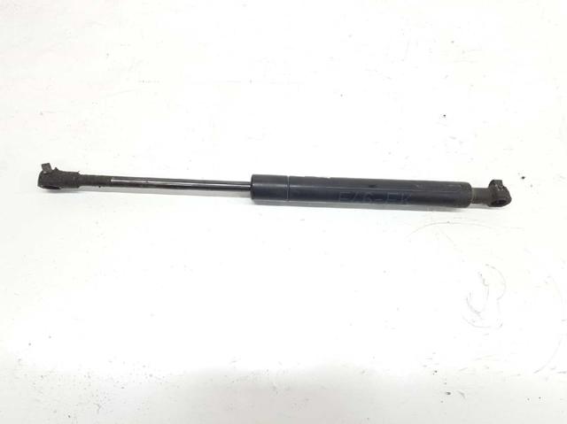 51238202688 BMW