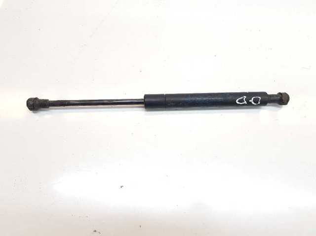 51238202688 BMW