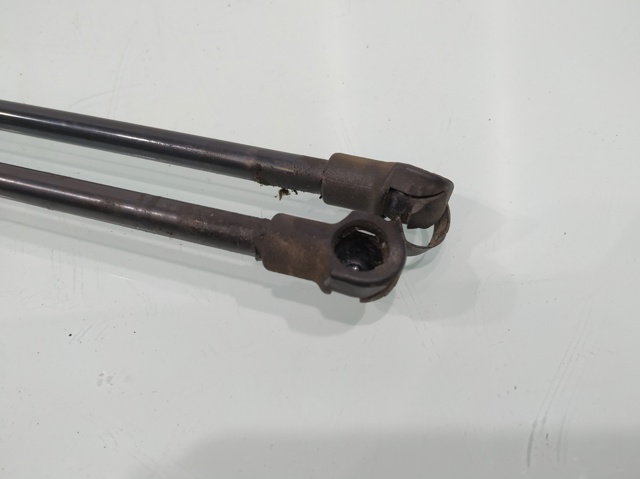 Muelle neumático, tapa delantera 51238240596 BMW