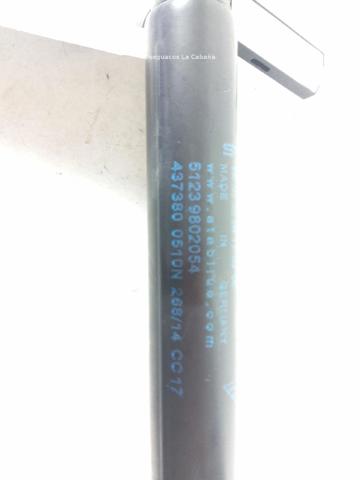 Muelle neumático, capó de motor MINI COUNTRYMAN R60