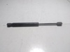 Muelle neumático de capó de motor 51239802054 BMW