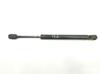 Muelle neumatico maletero 51241960862 BMW