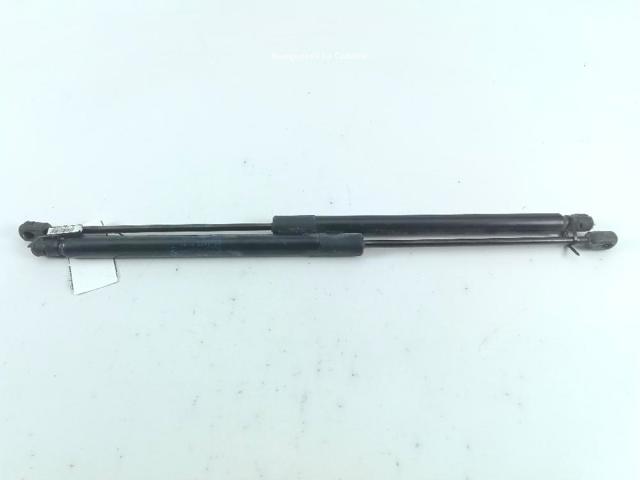51242990136 BMW Amortiguador de la tapa del maletero  disponible Ourense