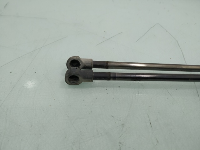 51243400379 BMW Amortiguador de la tapa del maletero  comprar en Oviedo