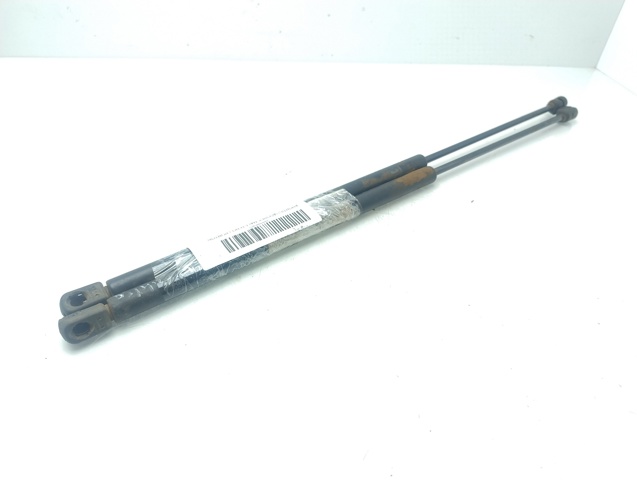 Comprar Amortiguador de puerta trasera X3 E83