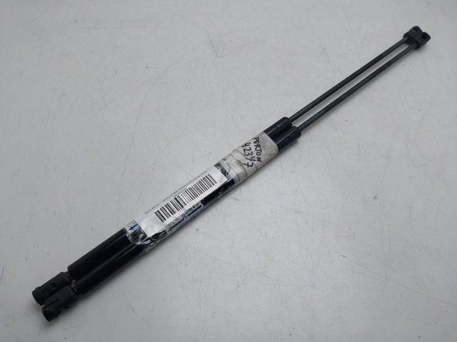 Muelle neumatico maletero X3 SUV (2004-2010) original desde 14,93 €