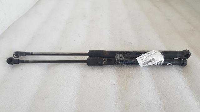 51247060622 BMW Amortiguador maletero  en stock Córdoba