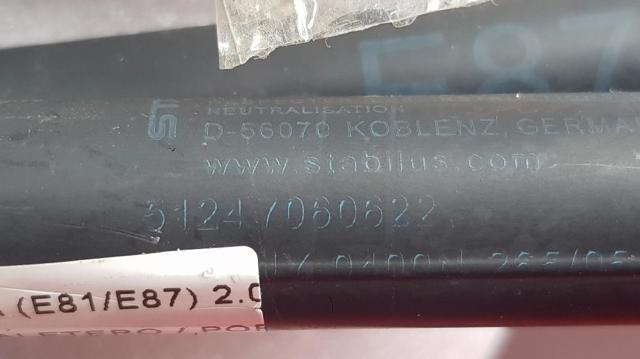 BMW 51247060622 Amortiguador maletero comprar Pamplona