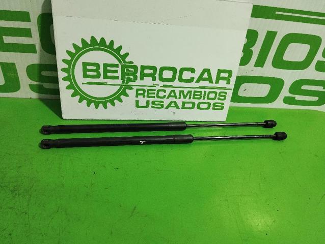 51247127875 Amortiguador de la tapa del maletero  disponible Burgos
