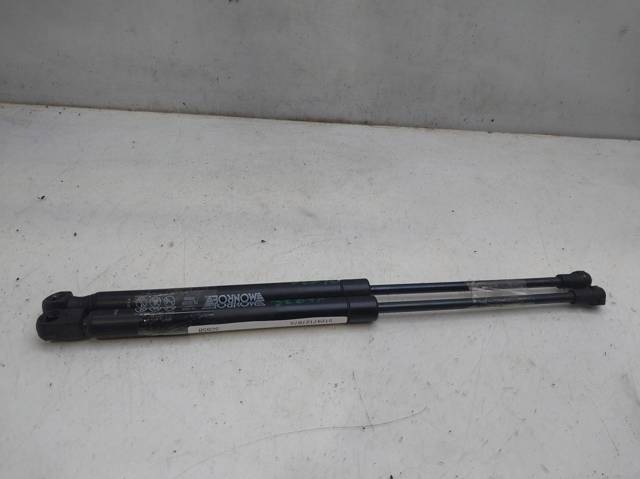 51247127875 BMW