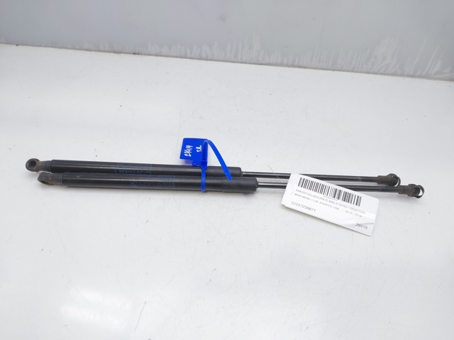 Comprar Amortiguador de puerta trasera 1 F20