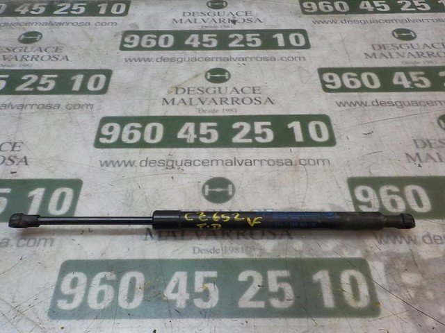 BMW 51247250308 Amortiguador maletero comprar Tarragona