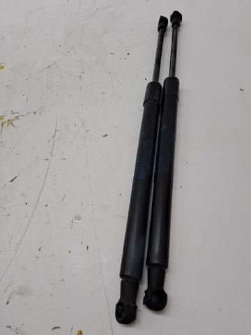 51247304556 BMW