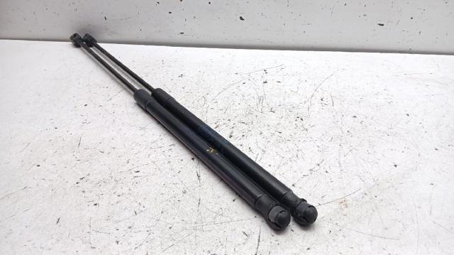 51247318896 BMW Amortiguador de la tapa del maletero  disponible Ourense