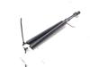 Muelle neumatico maletero 51248222913 BMW
