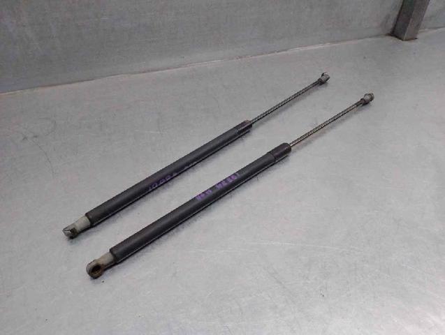 BMW 51248232873 Amortiguador de la tapa del maletero  comprar en Murcia