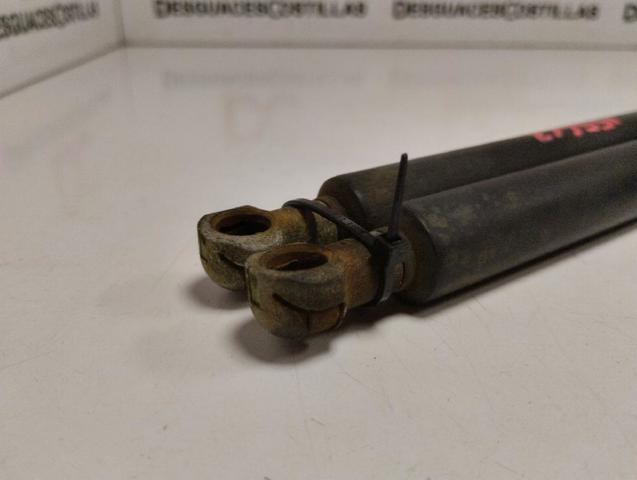 51248232873 BMW Amortiguador de la tapa del maletero  disponible Ourense
