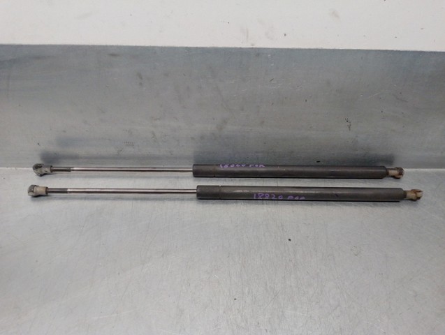 51248232873 BMW Amortiguador de la tapa del maletero  disponible Alicante