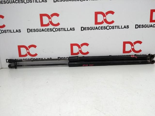 51248232873 BMW Amortiguador de la tapa del maletero  comprar en Oviedo
