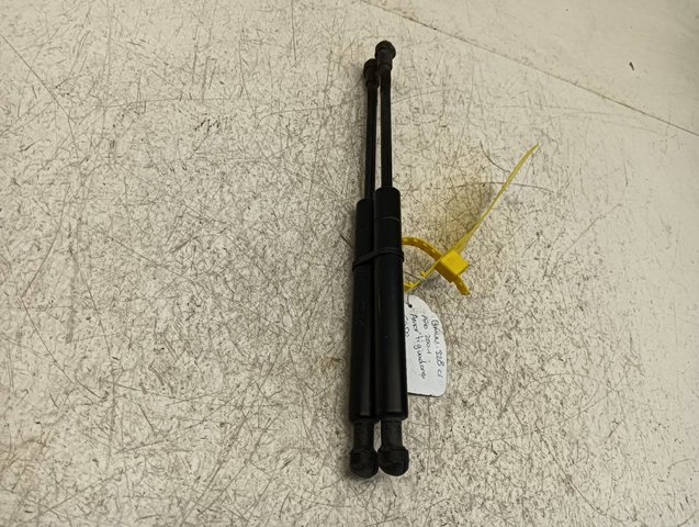 BMW 51248254281 Amortiguador maletero comprar Pamplona
