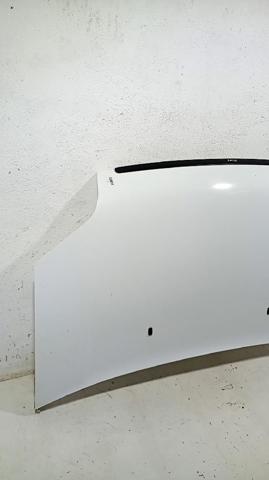 FORD 5149226 Capó  comprar en Murcia