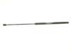 Muelle neumatico maletero 51734960 FIAT
