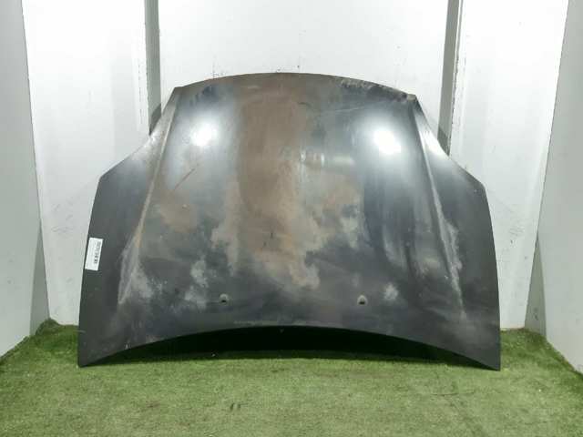 Comprar Capó Fiat Bravo II 198 a bajo precio